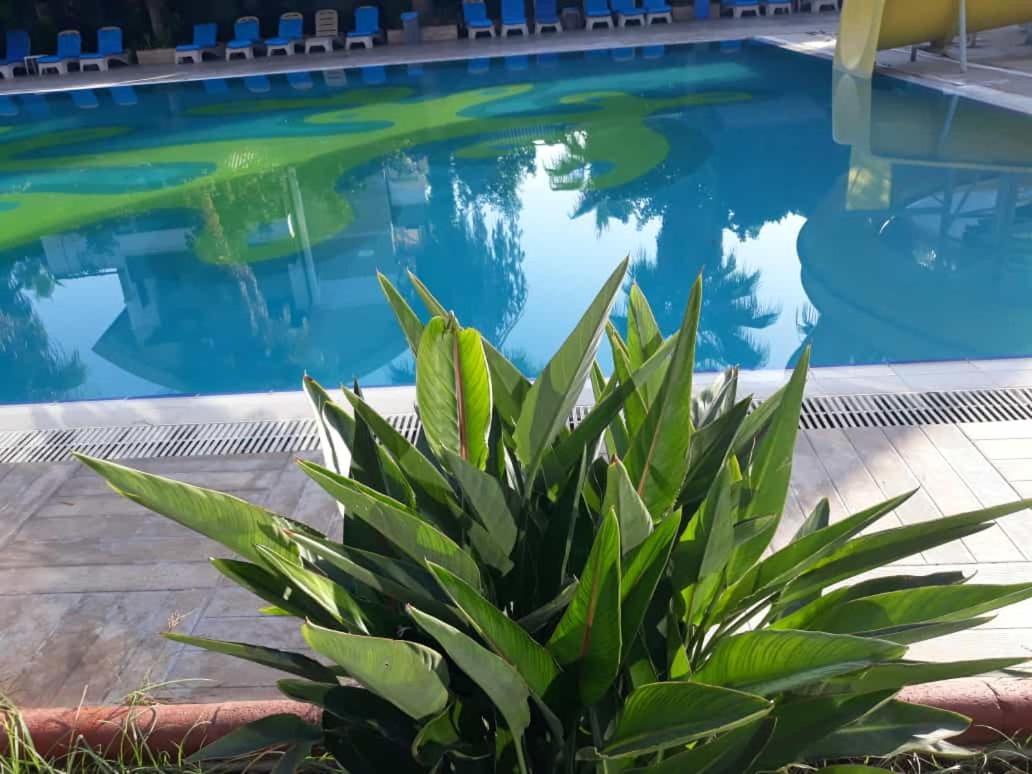 Club Jovia Kemer Ξενοδοχείο Αττάλεια Εξωτερικό φωτογραφία