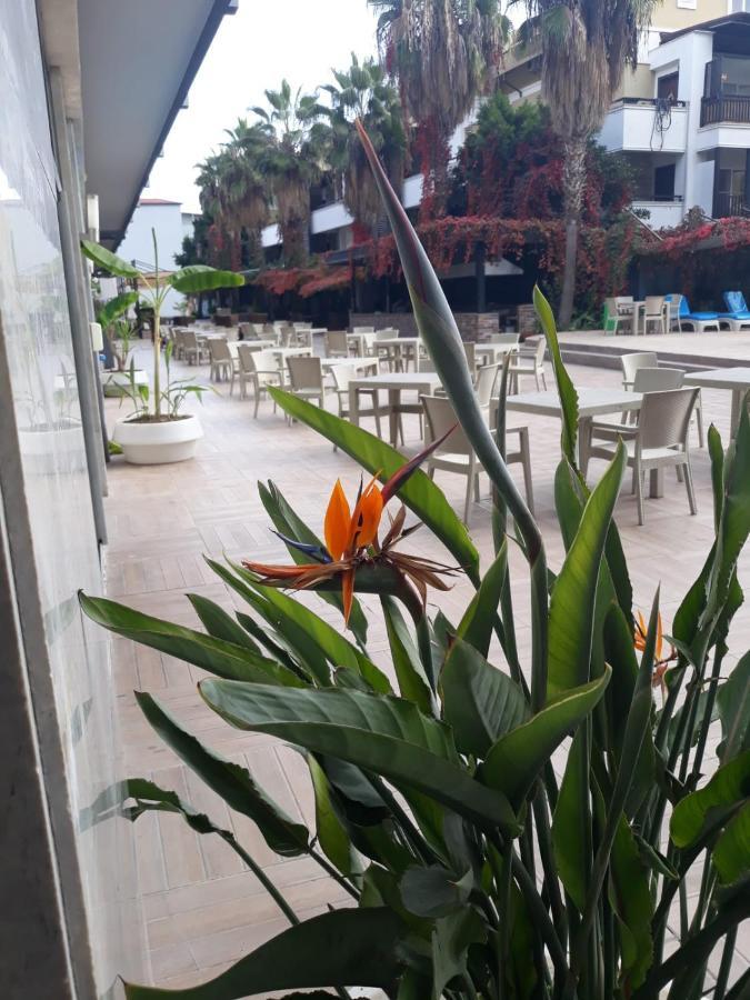 Club Jovia Kemer Ξενοδοχείο Αττάλεια Εξωτερικό φωτογραφία