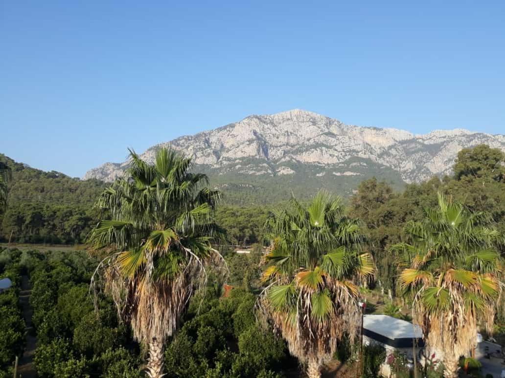 Club Jovia Kemer Ξενοδοχείο Αττάλεια Εξωτερικό φωτογραφία